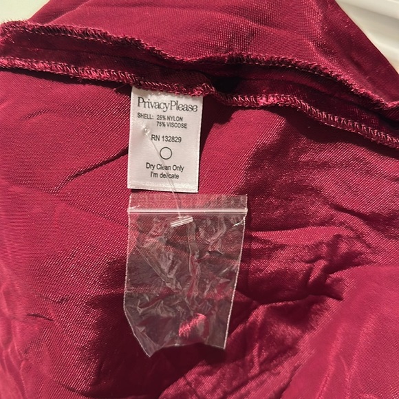 💜 Privacy Please X Revolve Astro Velvet Dress - Picture 11 of 11